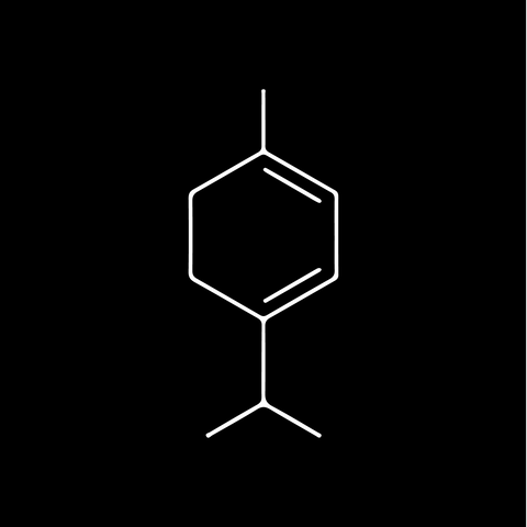 No. 07 — Terpinolene