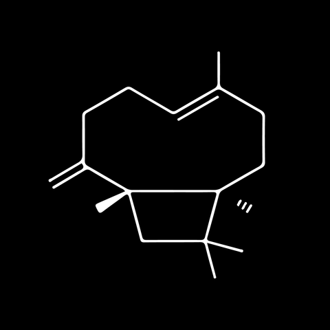 No. 02 — Caryophyllene