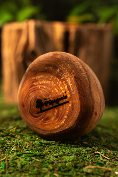 The Holding Piece No. 01